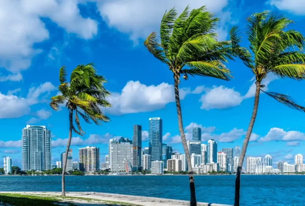 "Vista panorâmica do skyline de Miami com arranha-céus modernos, palmeiras e a Baía de Biscayne, sob um céu azul claro, representando uma cidade-sede da Copa do Mundo de Clubes da FIFA 2025."