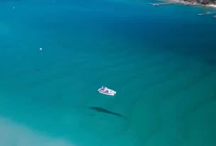 "Vista aérea das águas turquesa cristalinas de Destin, Florida, mostrando um barco branco navegando sobre as águas rasas com um golfinho nadando próximo"