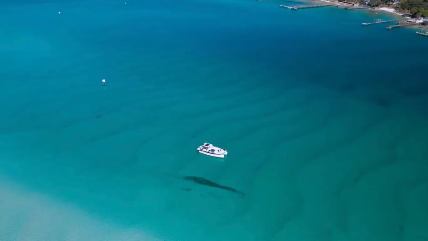 "Vista aérea das águas turquesa cristalinas de Destin, Florida, mostrando um barco branco navegando sobre as águas rasas com um golfinho nadando próximo"